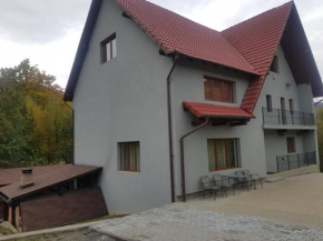 Hotels in Mures